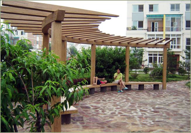 ��ľ���Ѽܡ�����