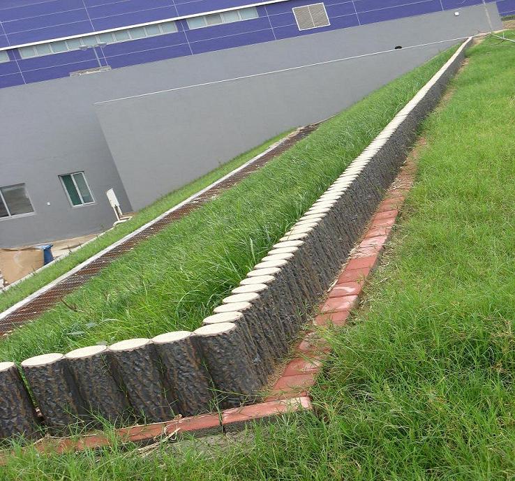 ��ľ����