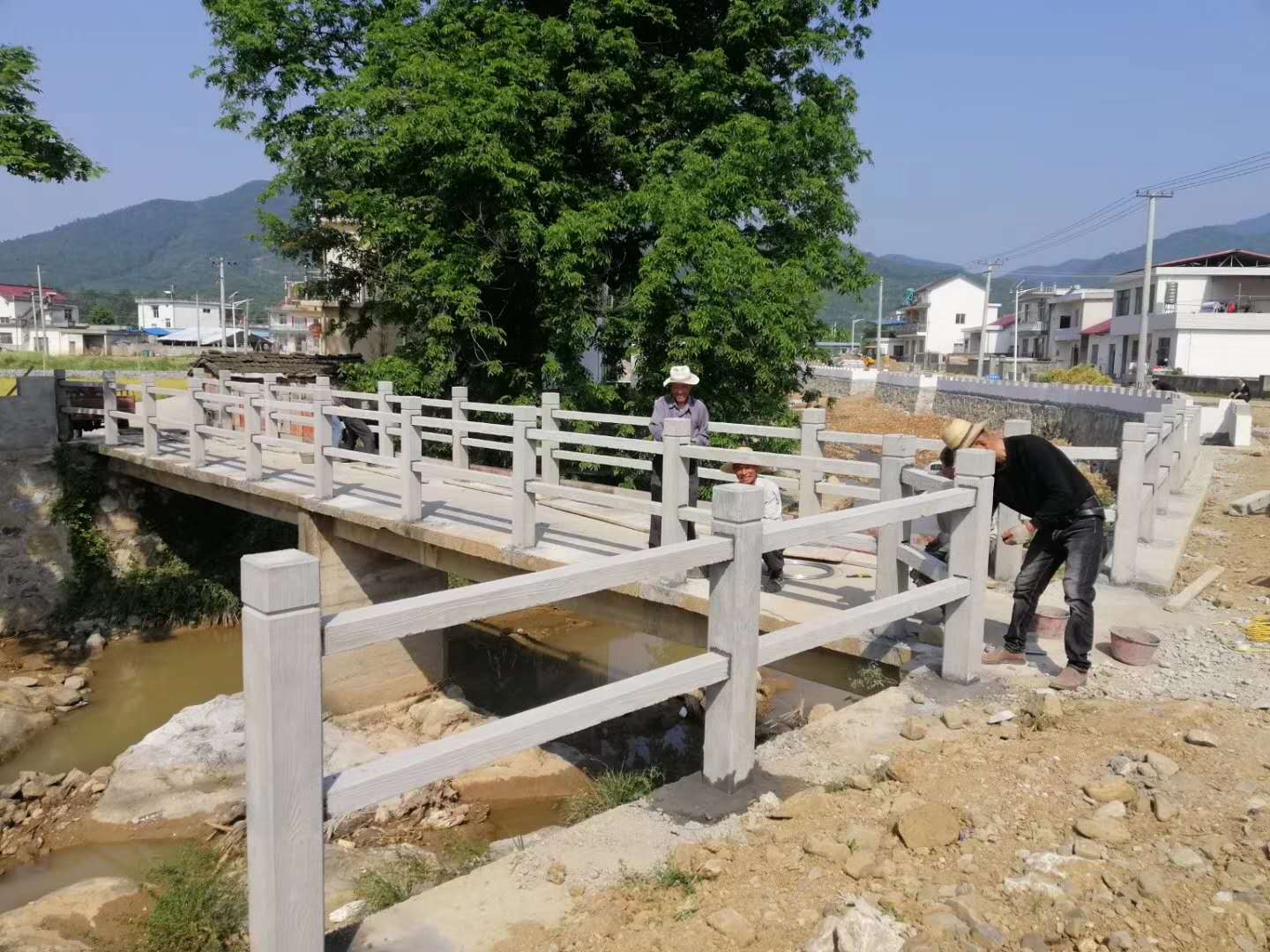 ��ľ����